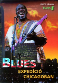 Blues Chicagoban